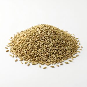 Organic Fennel Seed
