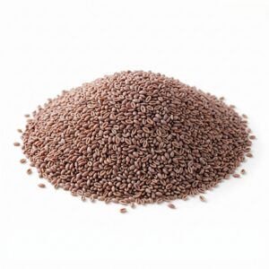 Organic Psyllium Seeds (Isabgol Seeds)