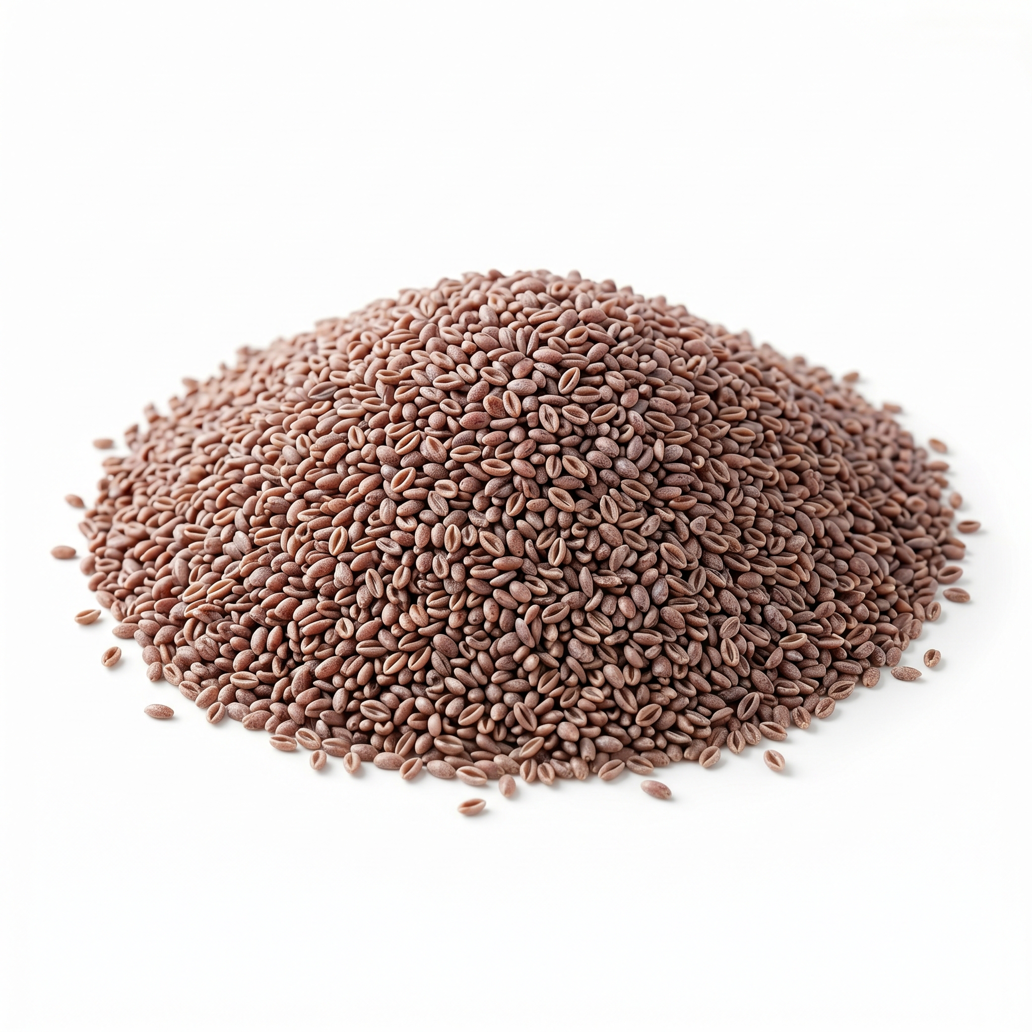 Organic Psyllium Seeds (Isabgol Seeds)